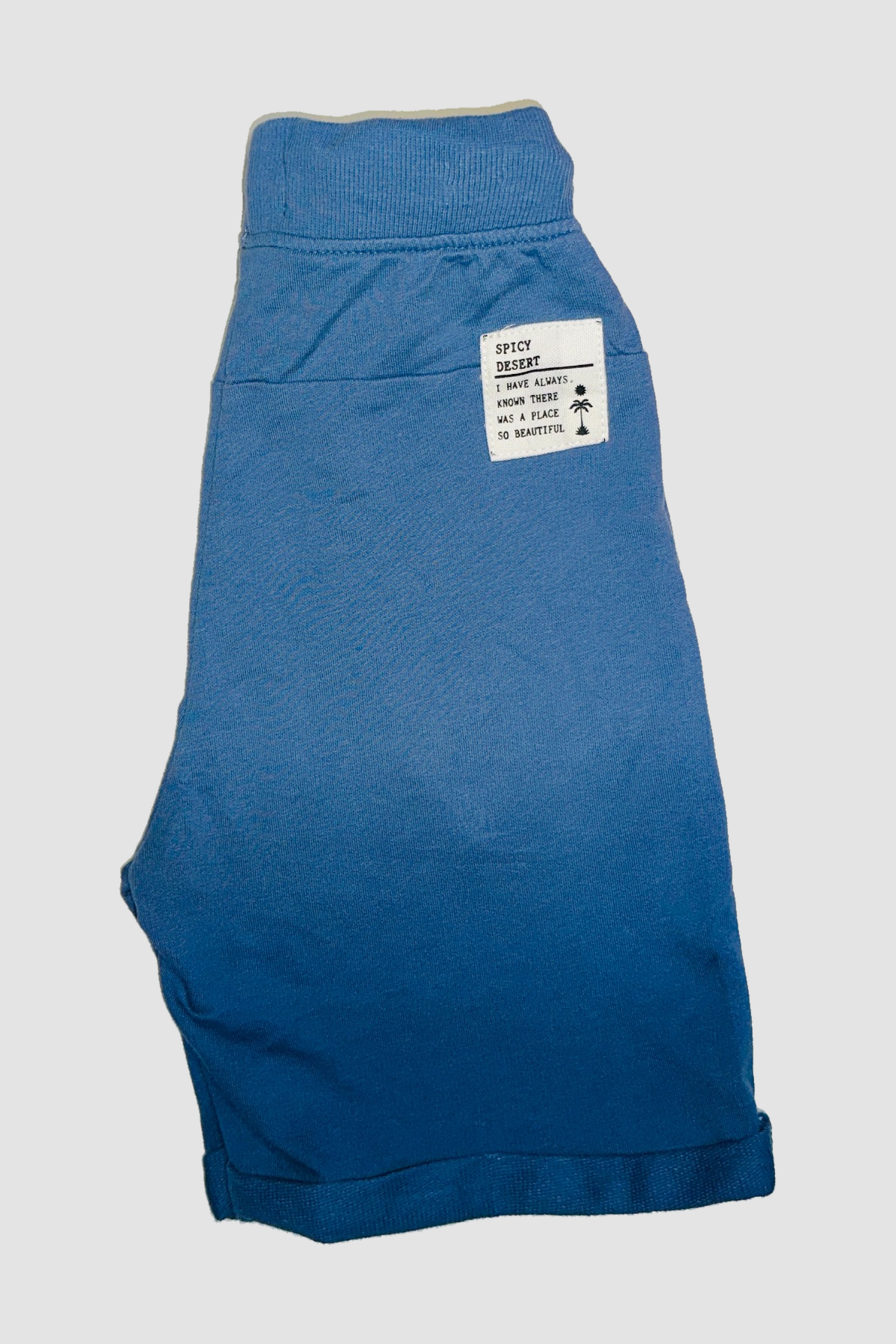 short garcon bleu detail